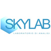 Skylab logo