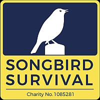 SongBird Survival logo