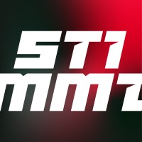 Stimmt logo