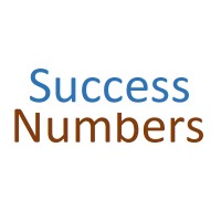 Success Numbers LLC logo