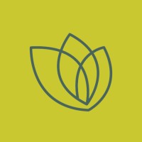 Synergised logo