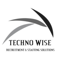 Techno Wise - Recruitment Solutions logo