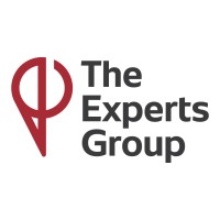 The Experts Group logo