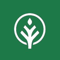 The Green Branch || B Corp logo