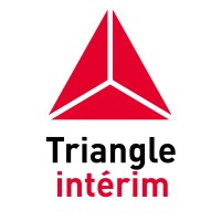 Triangle Interim logo