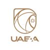 UAE Accountability Authority logo
