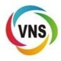 VNS logo