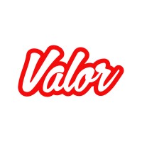 Valor Software logo