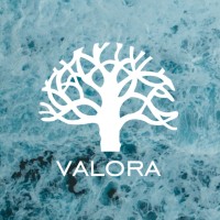 Valora Consultores logo