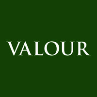 Valour Group logo