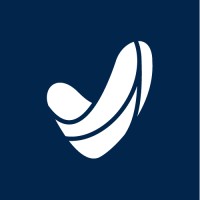 Vanadys logo