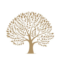 Veda Connection logo