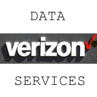 Verizon Data Services logo