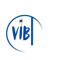 VibtSoft Limited logo