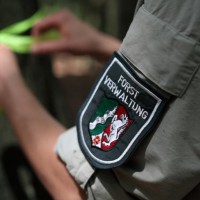Wald und Holz NRW logo