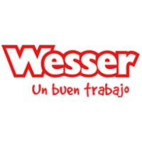 Wesser and Partner logo