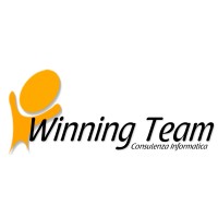 Winning Team srl logo