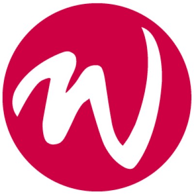 Wise IT logo