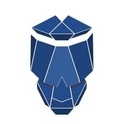 Wise Skulls logo