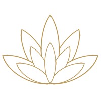 Xerendipity Corporation Ltd. logo