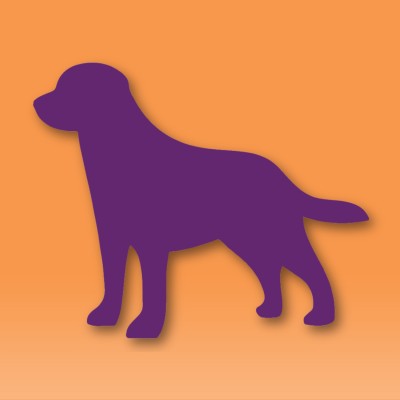 Zeektek logo