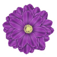 Zifcare logo
