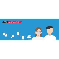 A12 Consultants logo