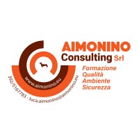 AIMONINO CONSULTING SRL