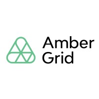 Amber Grid logo