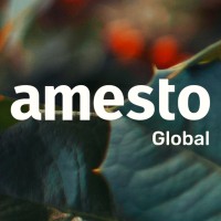 Amesto Global logo