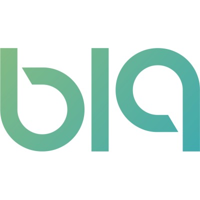 b19 Consulting logo
