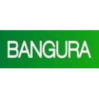Bangura Solutions logo