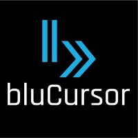 bluCursor Infotech Pvt Ltd logo