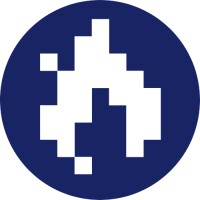 Blue Fire Leads logo