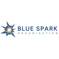 Blue Spark Organisation Ltd logo