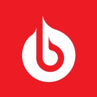 Bolster Systems Limited logo