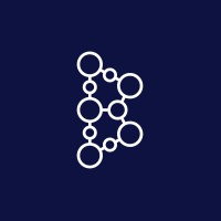 BOREK SOLUTIONS GROUP