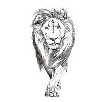 Brainwave Optigrators LLC logo