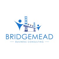 Bridgemead Consulting logo