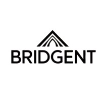 Bridgent Consulting logo
