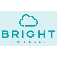 Bright Intelli LLC logo