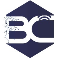 BRILLIANT COMPUTERS CITADEL  AND INFORMATION TECHNOLOGY logo