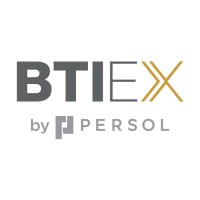 BTI Executive Search logo