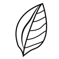 Candid Coffee logo