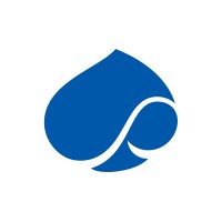 Capgemini Engineering logo