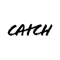 Catch Digital logo