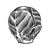 Choux de Bruxelles logo