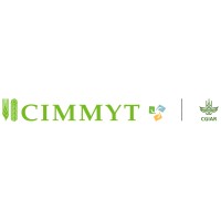 CIMMYT logo