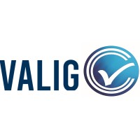 Valig Group logo