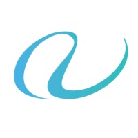 Connecting Visions logo